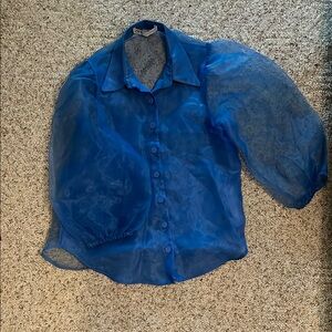 Sheer Blue Button-Up Blouse ZARA